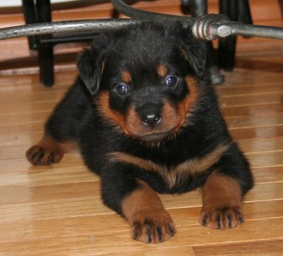 Navy Boy... Do you think I'm handsome?