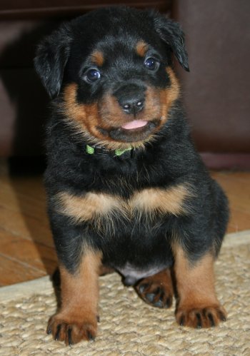 A big smile from Lime boy!