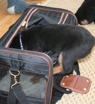 If I could just get in the bag...