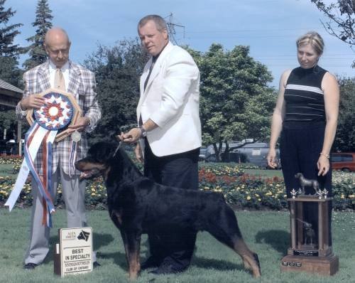 2003 Sovereign Rottweiler Club Specialty - BISS
